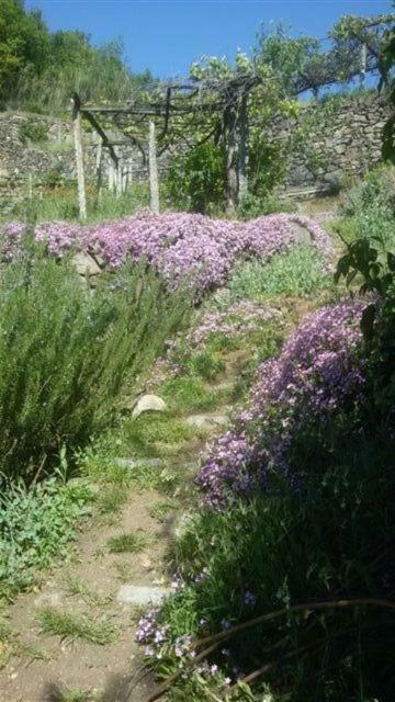 Bed & Breakfast Varionda Chiaverano Bagian luar foto