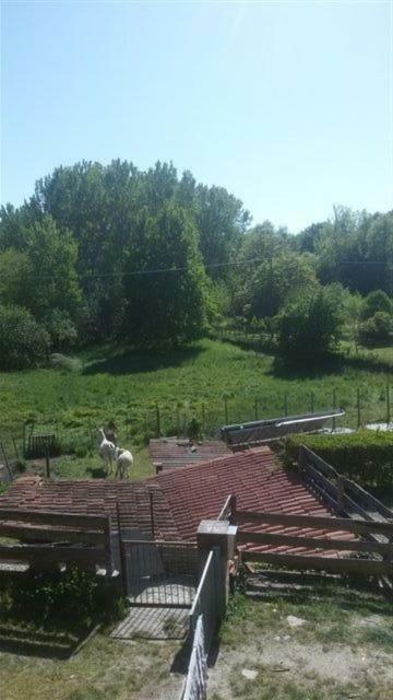 Bed & Breakfast Varionda Chiaverano Bagian luar foto